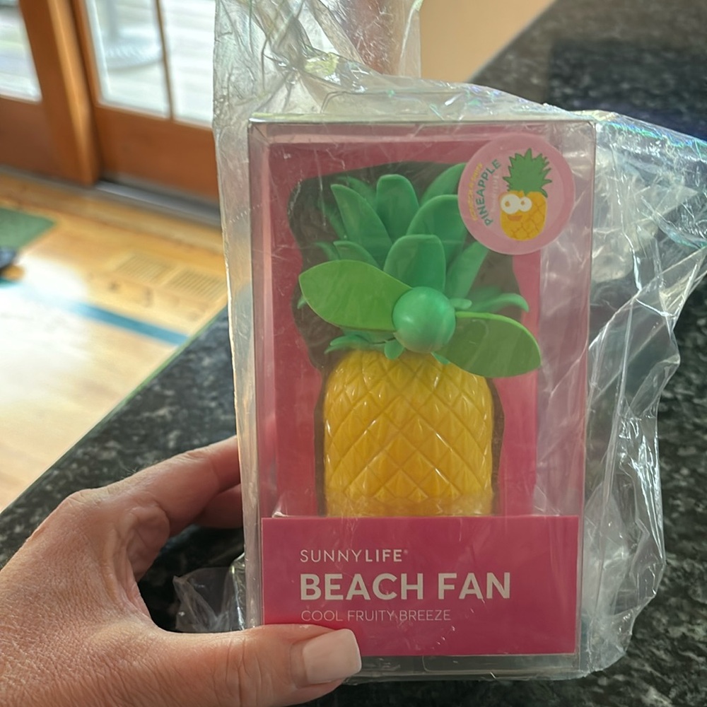 Beach Fan